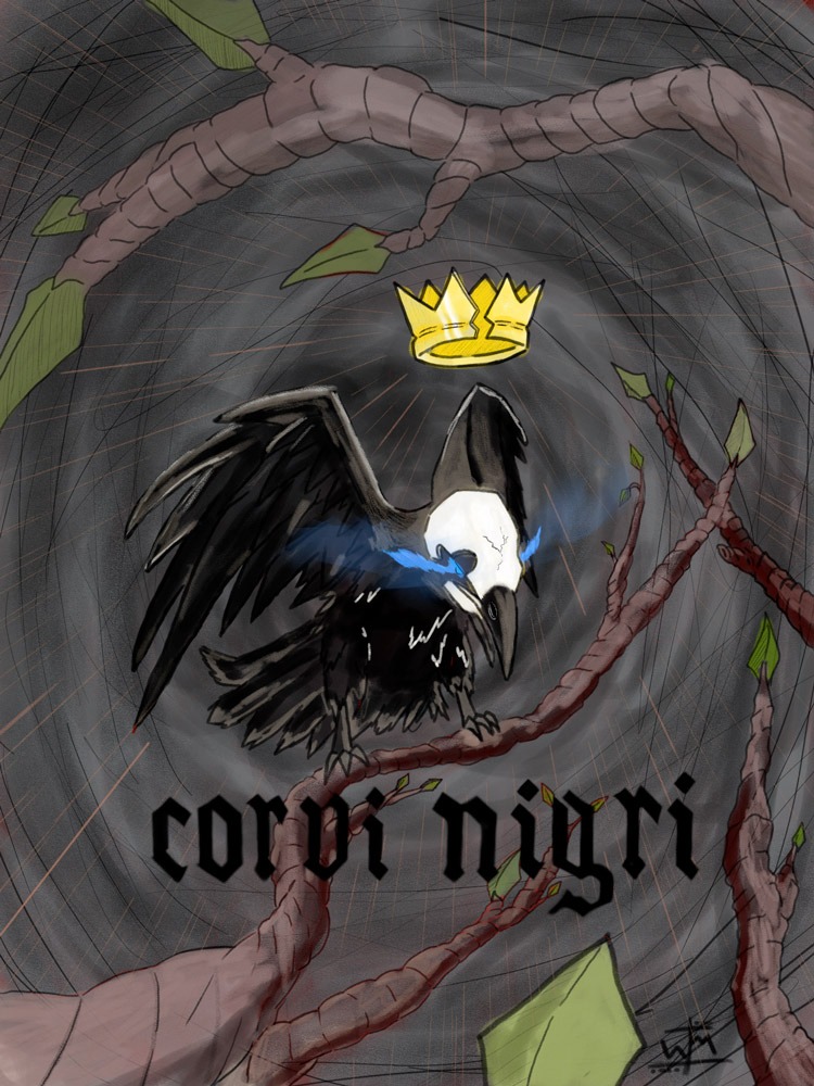 corvi nigri